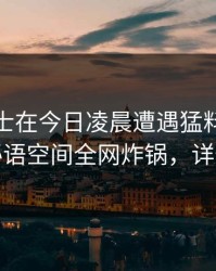业内人士在今日凌晨遭遇猛料情绪失控，秘语空间全网炸锅，详情查看