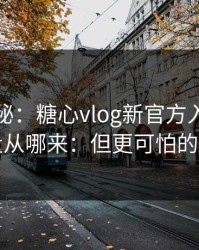 冷门揭秘：糖心vlog新官方入口：它的流量从哪来：但更可怕的在后面
