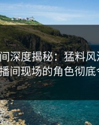 秘语空间深度揭秘：猛料风波背后，大V在直播间现场的角色彻底令人意外