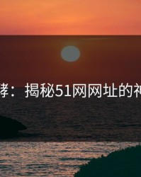 深夜发酵：揭秘51网网址的神秘内幕