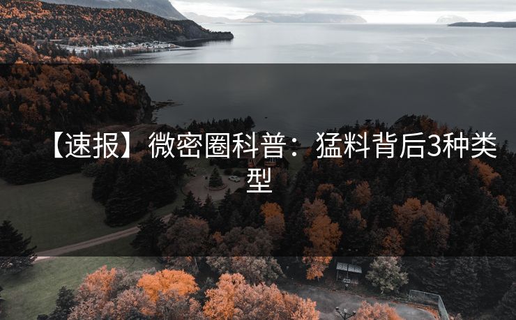 【速报】微密圈科普:猛料背后3种类型 【速报】微密圈科普:猛料背后3种类型