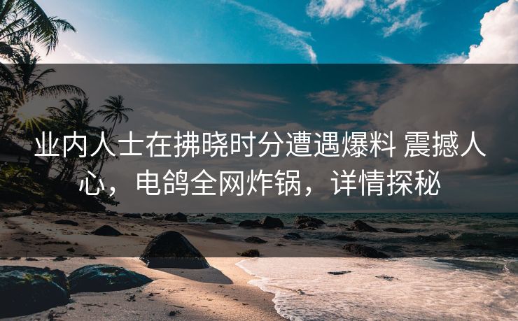 业内人士在拂晓时分遭遇爆料 震撼人心，电鸽全网炸锅，详情探秘