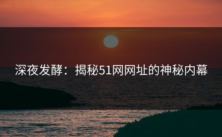 深夜发酵：揭秘51网网址的神秘内幕